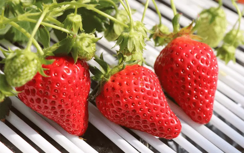 コンセプトイメージ