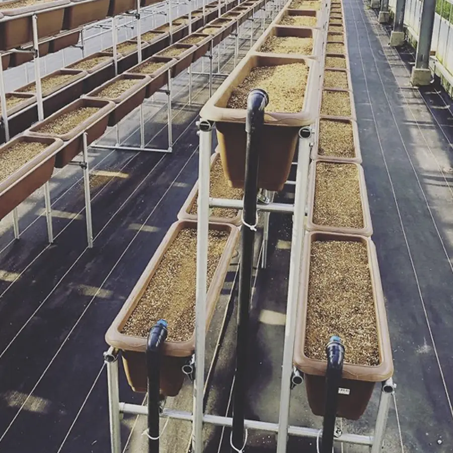 Instagramフィードイメージ