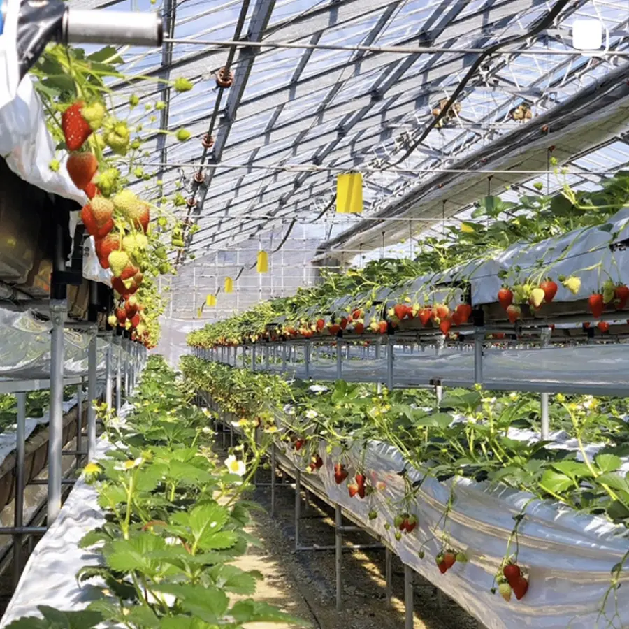 Instagramフィードイメージ