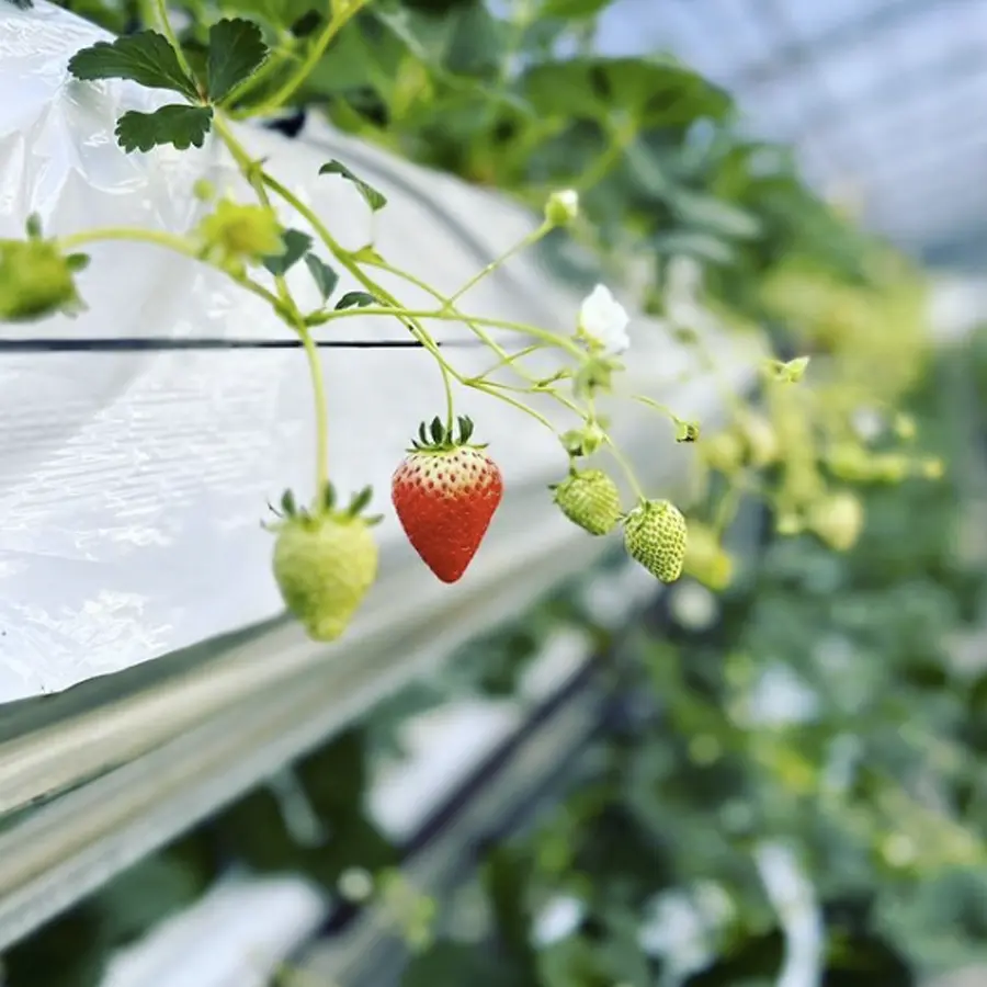 Instagramフィードイメージ