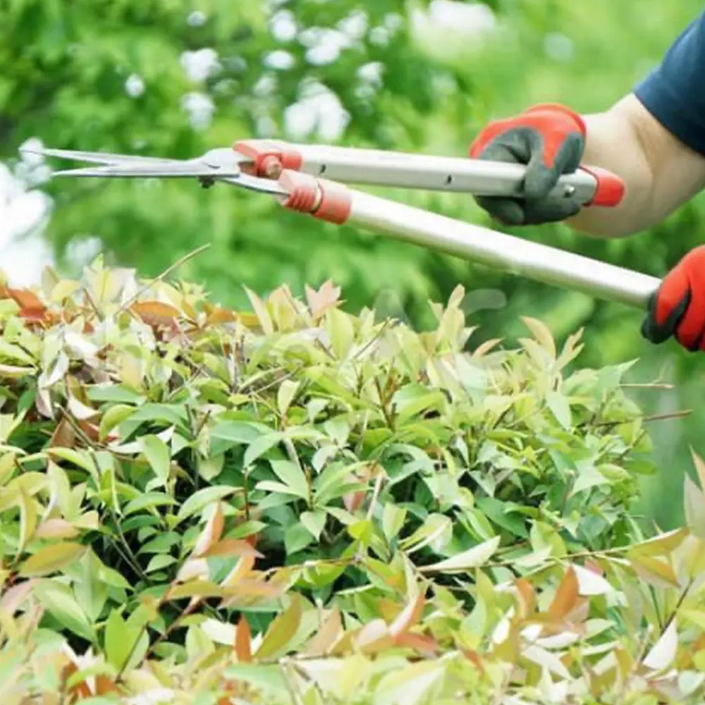 泉州の「おいしい」を全国にお届けするために