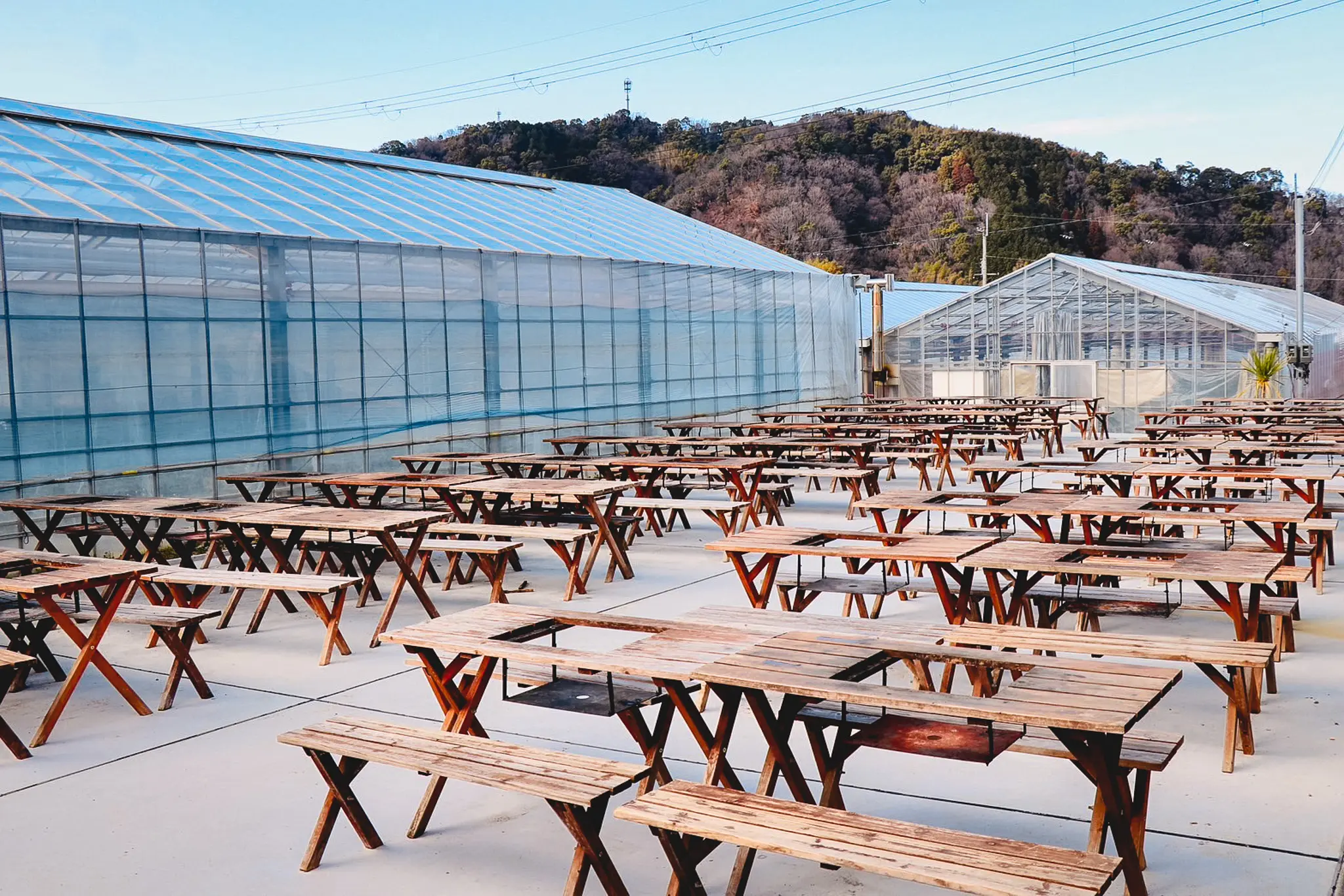 ギャラリーイメージ10