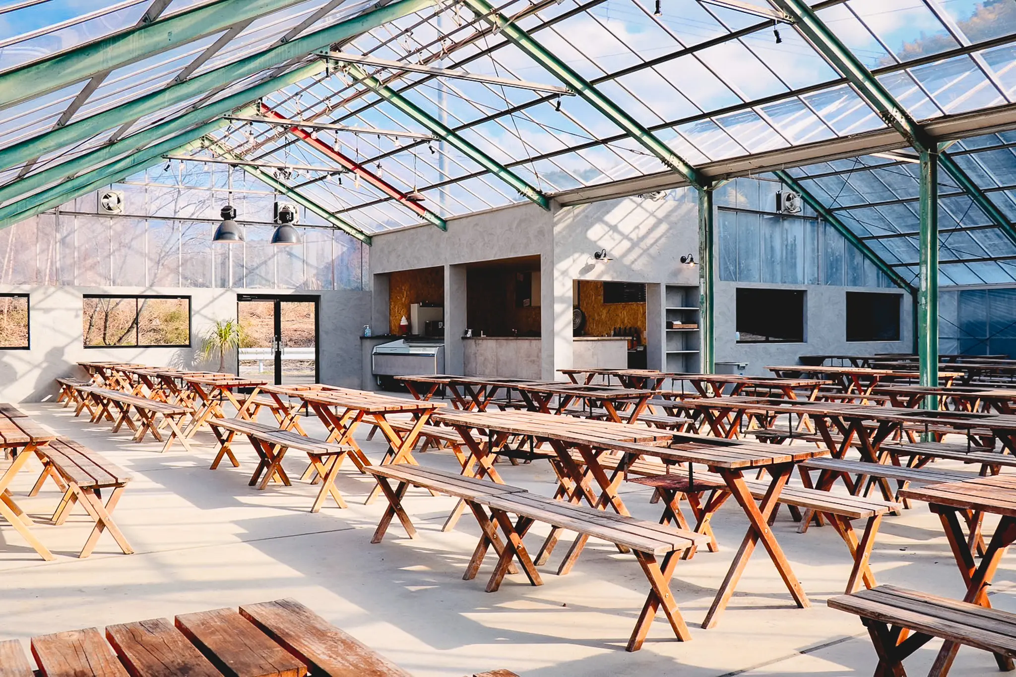 ギャラリーイメージ8