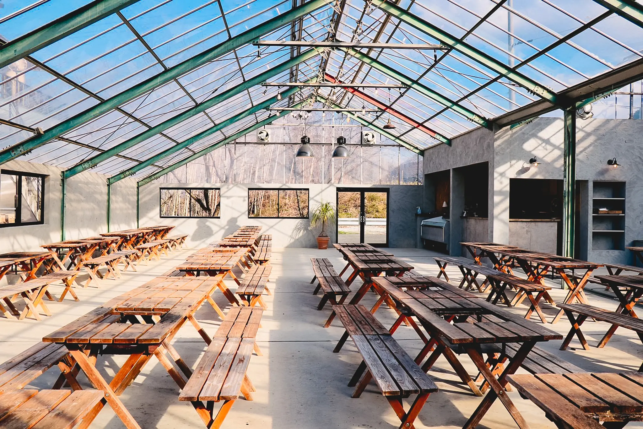 ギャラリーイメージ9