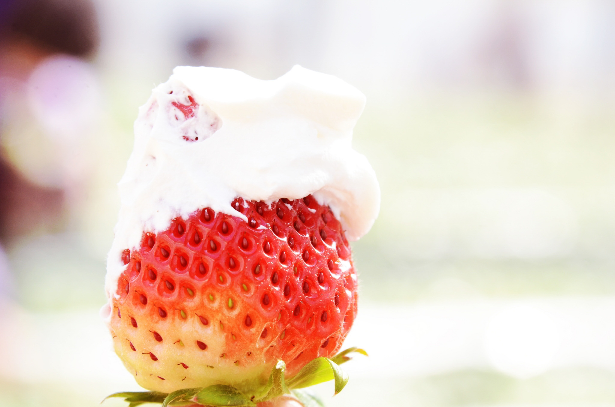 2025年度 きしかんのいちご狩り・BBQ【2024年12月1日】から予約開始